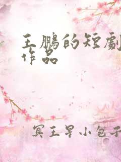 王鹏的短剧全部作品