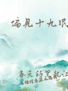 偏见十九眠