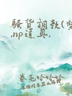 骚货调教(双性,np道具,