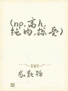 (np,高h,纯肉,总受)