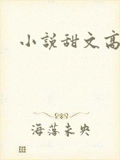 小说甜文高h