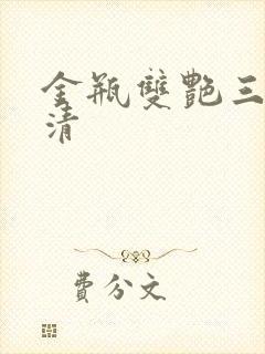 金瓶双艳三级高清