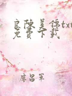 良陈美锦txt免费下载