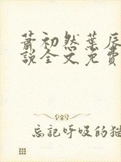 萧初然叶辰的小说全文免费阅读一