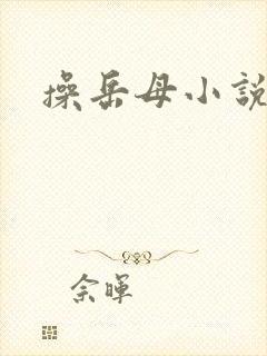 操岳母小说合集