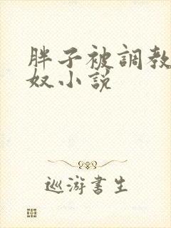 胖子被调教成肉奴小说