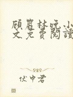 顾严林晚小说全文免费阅读