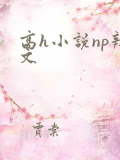 高h小说np辣文