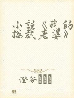 小说《我的冷艳总裁老婆》