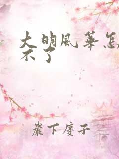 大明风华怎么看不了