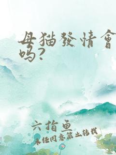 母猫发情会乱尿吗?