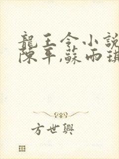 龙王令小说主角陈平,苏雨琪