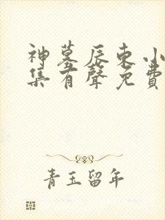 神墓辰东小说全集有声免费听