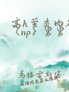 高h荤爽肉欲文〈np〉男男