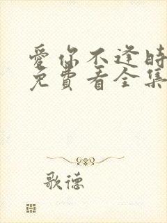 爱你不逢时短剧免费看全集