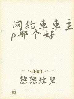 网约车车主app哪个好