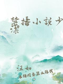 禁播小说少妇白洁