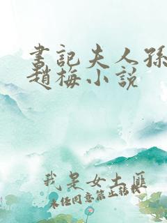 书记夫人孙淑琴赵梅小说