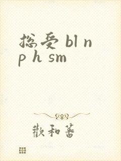 总受 bl np h sm