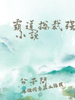 霸道总裁强制爱 小说