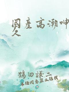 国产高潮呻吟久久