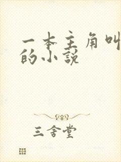 一本主角叫林凡的小说