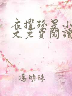 夜揽残星小说全文免费阅读