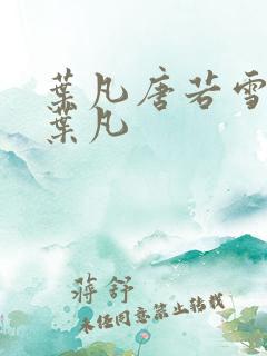 叶凡唐若雪王婿叶凡