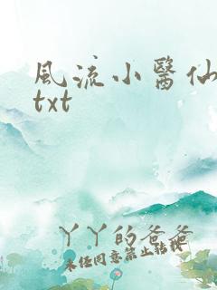 风流小医仙小说txt
