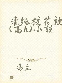 清纯校花被调教(高h)小说