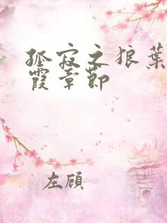 孤寂之狼叶凡吴霞章节