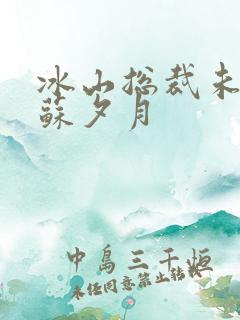 冰山总裁未婚妻苏夕月