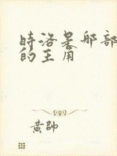 时洛是哪部小说的主角