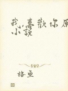 我,喜欢你原著小说