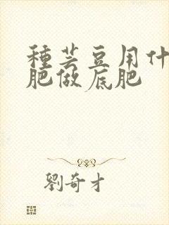 种芸豆用什么化肥做底肥