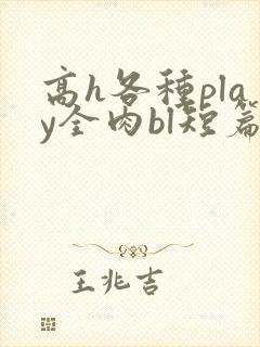 高h各种play全肉bl短篇