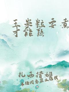 玉米粒要煮多久才能熟