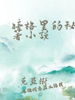 暗格里的秘密原著小说
