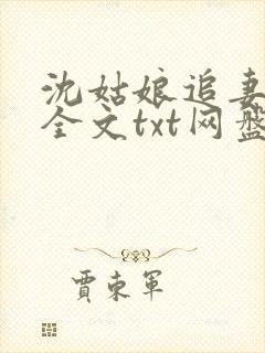 沈姑娘追妻攻略全文txt网盘