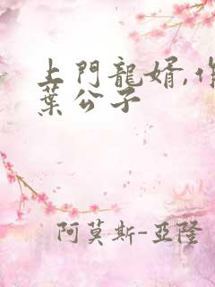 上门龙婿,作者叶公子