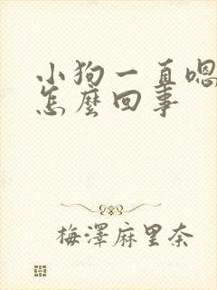 小狗一直嗯嗯叫怎么回事