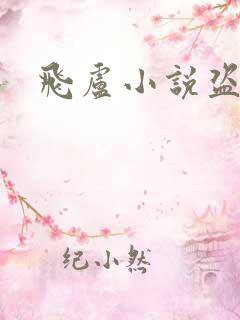 飞卢小说盗版