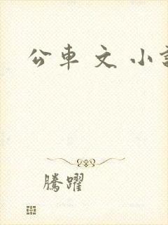 公车 文 小说