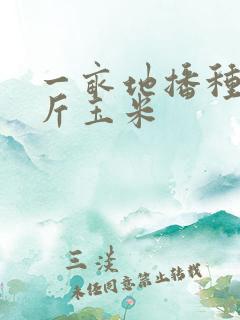 一亩地播种多少斤玉米