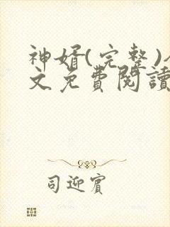 神婿(完整)全文免费阅读