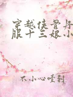 穿越侠骨丹心征服十三娘小说