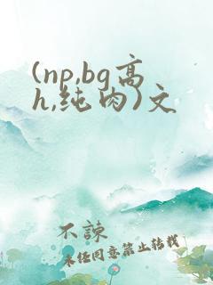 (np,bg高h,纯肉)文
