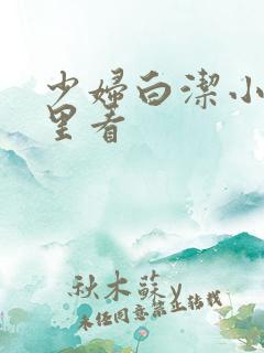 少妇白洁小说哪里看