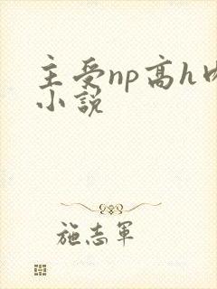 主受np高h肉小说