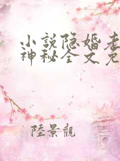 小说隐婚老公太神秘全文免费阅读